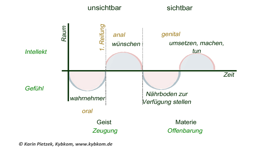 Etwicklungsphasen Im Männlichen Und Weiblichen Prinzip. Kybalion